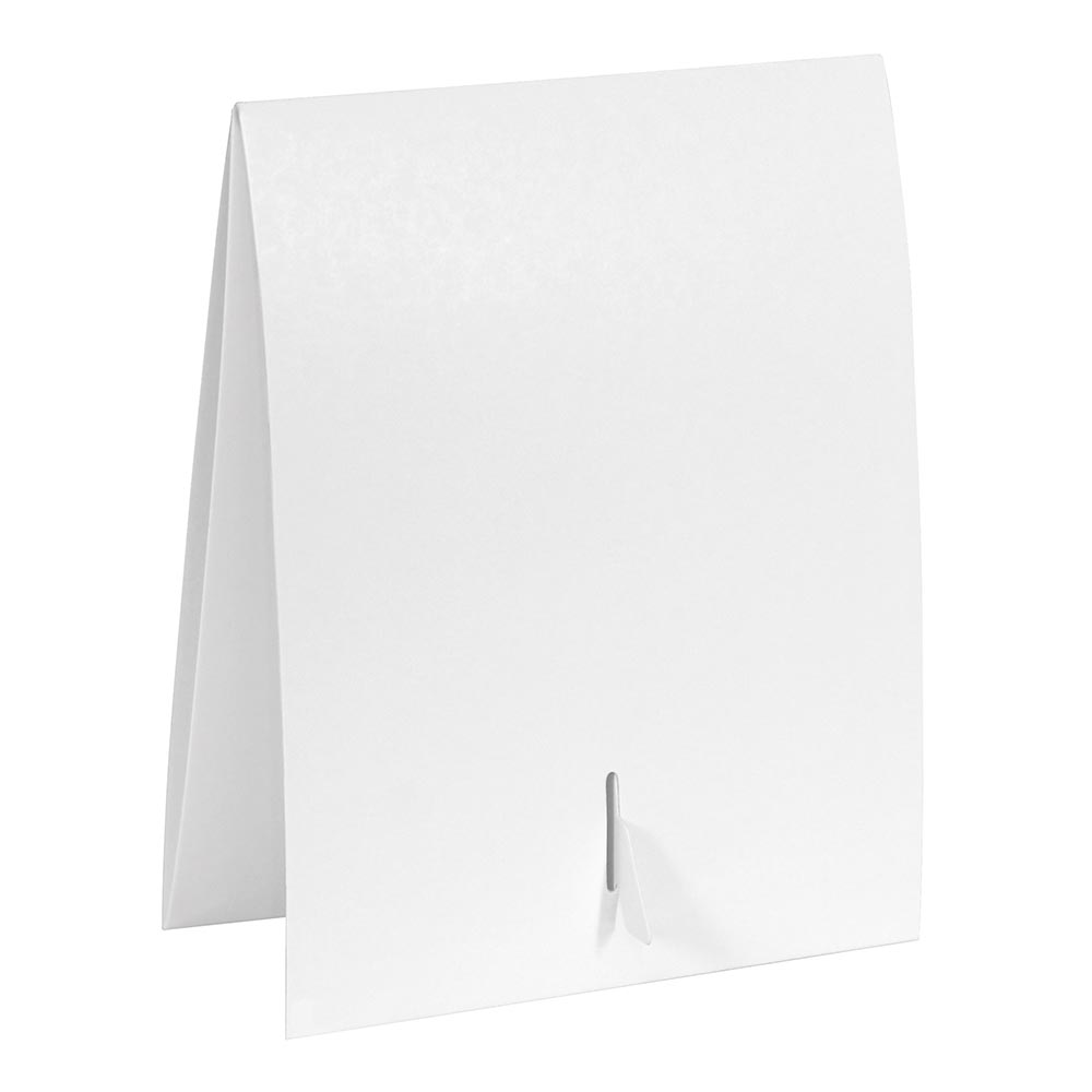 Solid White Instax Mini Frame