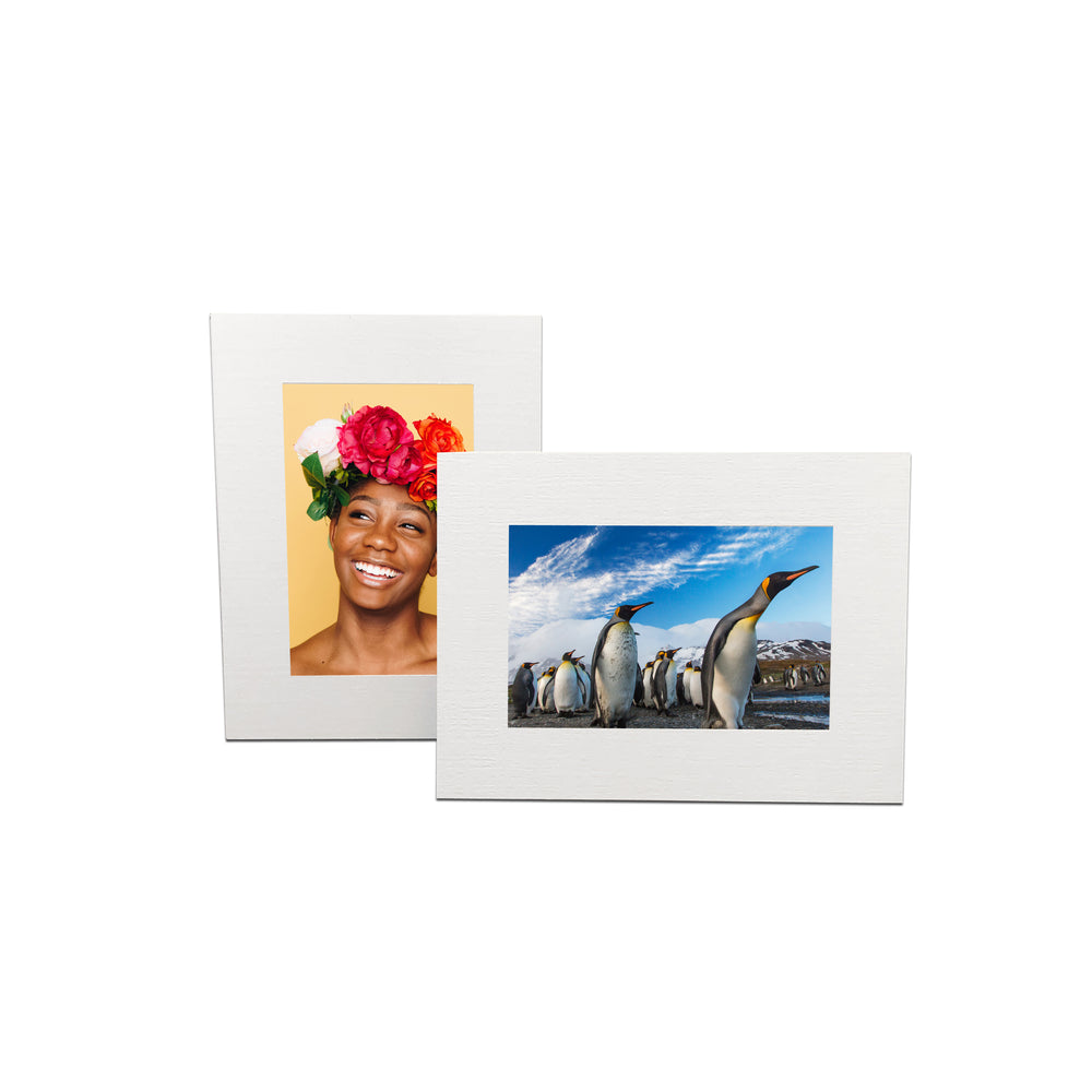 White Enviro Easels frames